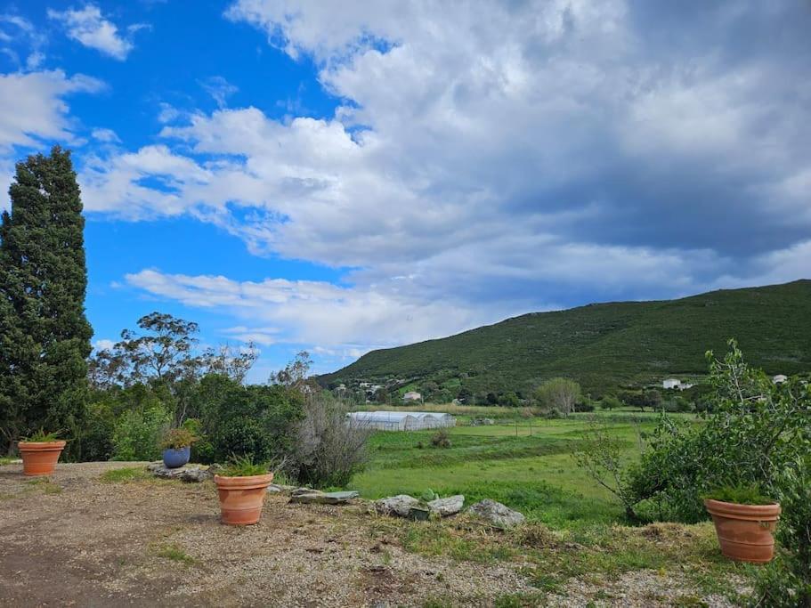 Belle Villa A Misincu- A Deux Pas De La Plage Cagnano Exterior foto